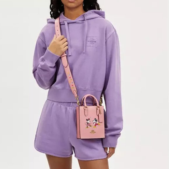🐭 Disney X Coach North South Mini Tote With Ice Skate Motif - Picture 6 of 15